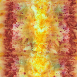 Abbildung3 Natürlich bunt