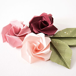 Abbildung3 Fold & Relax