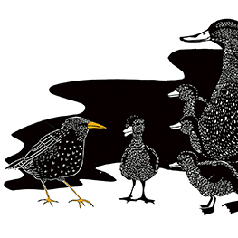 Abbildung3 Das Lied des Stars