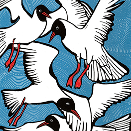 Abbildung3 Das geht nie vorbei – Vogelmotive Postkartenbuch