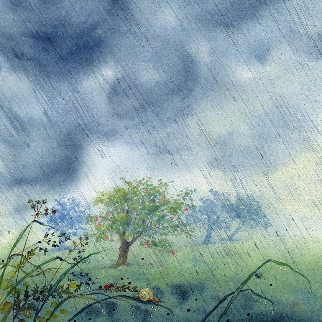 Abbildung3 Bertie Pom und das große Donnerwetter