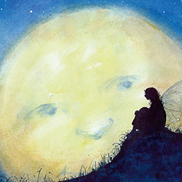 Abbildung3 Die kleine Elfe braucht ein neues Kleid