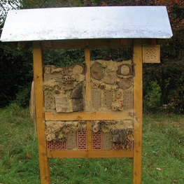 Abbildung4 Mit Kindern im Bienengarten