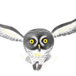 Abbildung4 In einer weißen Winternacht