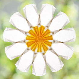 Abbildung4 Leuchtende Fenstersterne