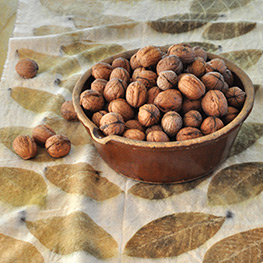 Abbildung4 Natürlich bunt