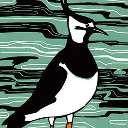 Abbildung4 Das geht nie vorbei – Vogelmotive Postkartenbuch