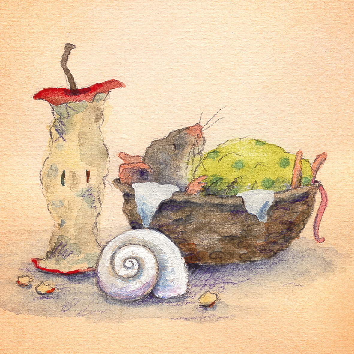 Abbildung4 Postkartenbuch »Mäusepost«