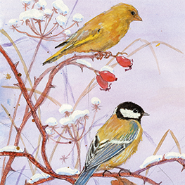 Abbildung4 Komm mit ins Reich der Zwerge