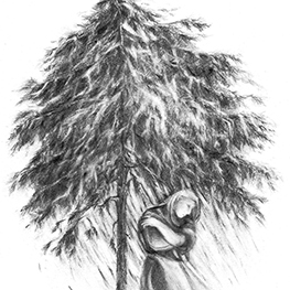 Abbildung4 Pflanzenmärchen