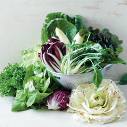 Abbildung4 Salatwerkstatt