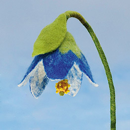 Abbildung5 Blütenträume