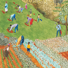 Abbildung5 Bäume für Kenia