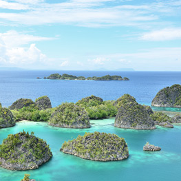 Abbildung5 Neuseeland, Papua und Vanuatu