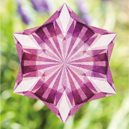 Abbildung5 Leuchtende Fenstersterne