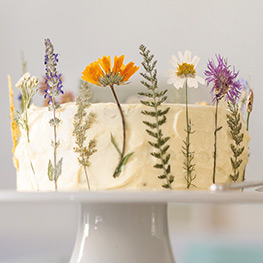 Abbildung5 Veilchen, Farn & Ringelblumen