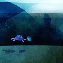 Abbildung5 Schattenfisch