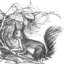 Abbildung5 Pflanzenmärchen