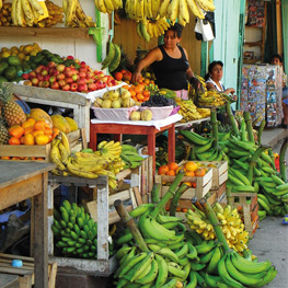 Abbildung6 Indios, Inka, Immigranten