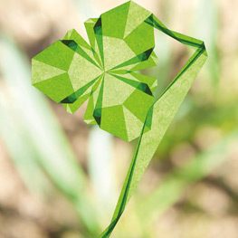 Abbildung6 Leuchtende Fenstersterne