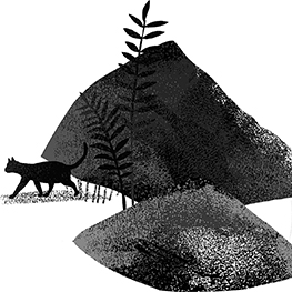 Abbildung6 Die Einsteins und der geheimnisvolle Turm