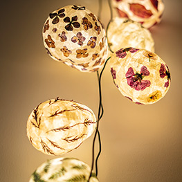 Abbildung6 Veilchen, Farn & Ringelblumen