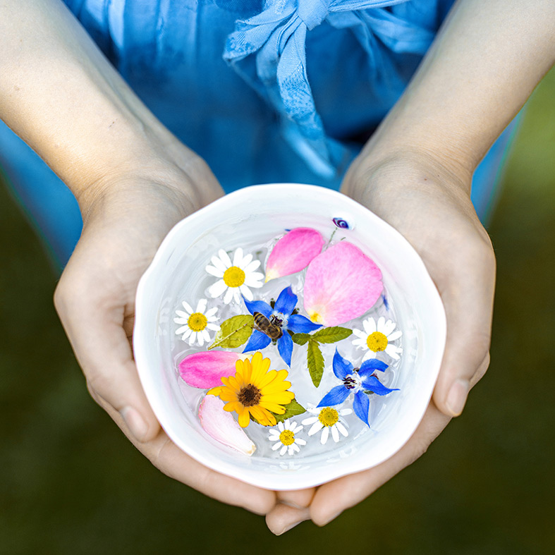 Abbildung6 Natürlich