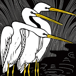 Abbildung6 Das geht nie vorbei – Vogelmotive Postkartenbuch