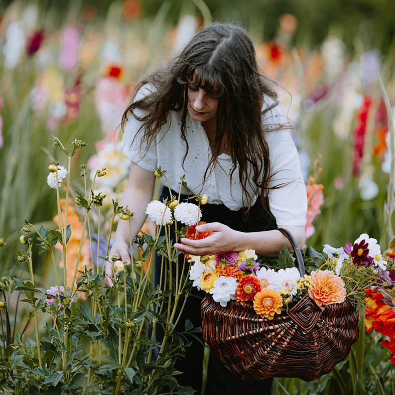 Abbildung7 Natürlich