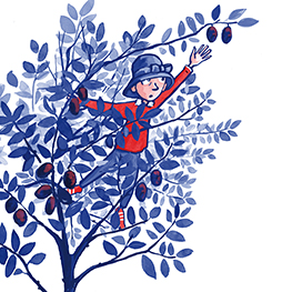 Abbildung7 Als ich die Pflaumen des Riesen klaute