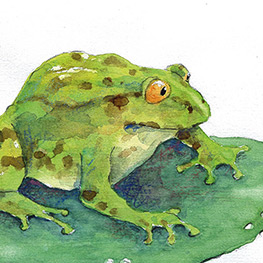 Abbildung8 Erbsenfee und Einhornschaf