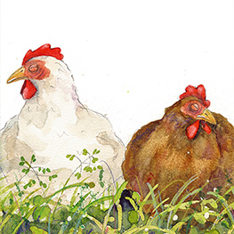 Abbildung8 Giesbert und die Gackerhühner