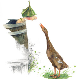 Abbildung8 Giesbert in der Regentonne